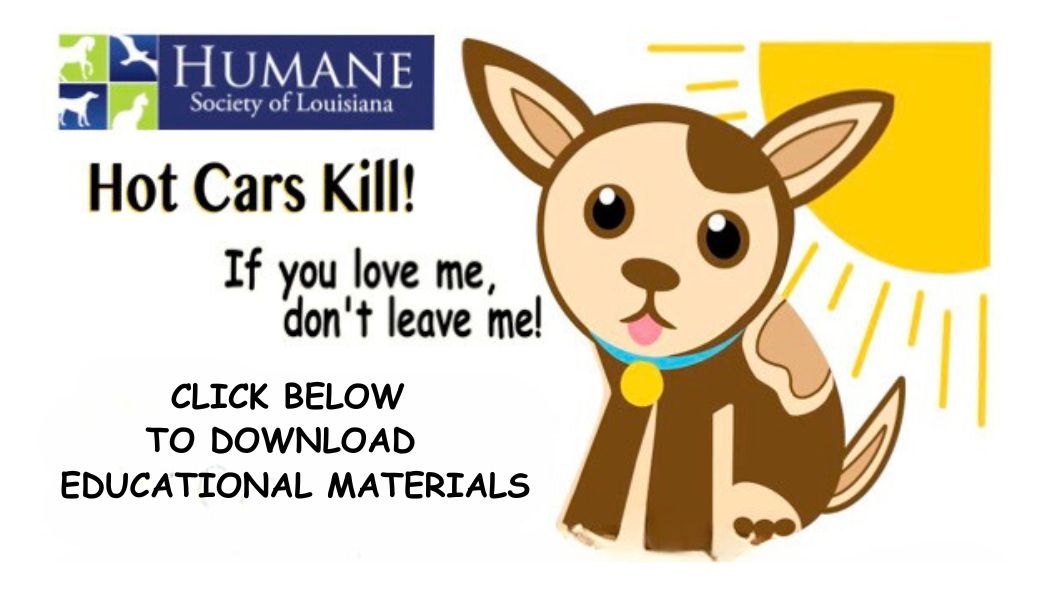 Hot Cars Kill Humane Society of Louisiana